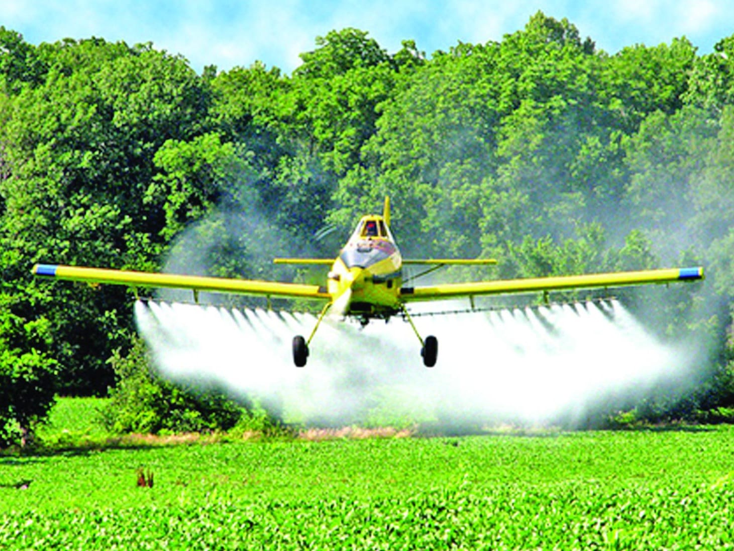 Plantio aéreo